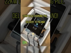 Direktanbieter Dc-Gbt /30Kw Ladegerät Ev Ladestation