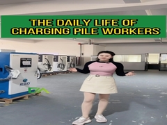 Direktanbieter Dc-Gbt /30Kw Ladegerät Ev Ladestation