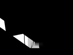 DC-Ladegerät für Elektrofahrzeuge mit unterschiedlicher Ausgangsleistung